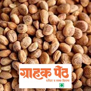 Charoli ( Chironji) 20 GM (1)