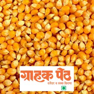 Makhana Popcorn 250 GM (1)