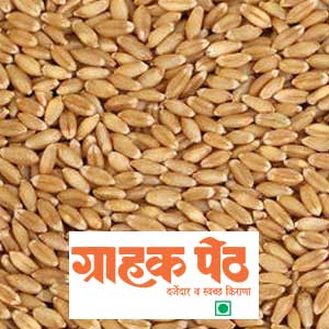 Lokwan Gahu Guj. (Wheat) 5 KG (1)